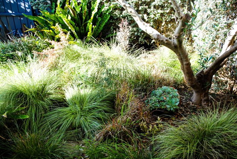 Bed Of Roses - Accommodation Adelaide 21