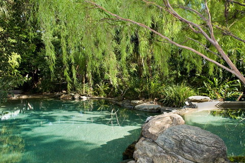 Thala Beach Nature Reserve - Accommodation Adelaide 30
