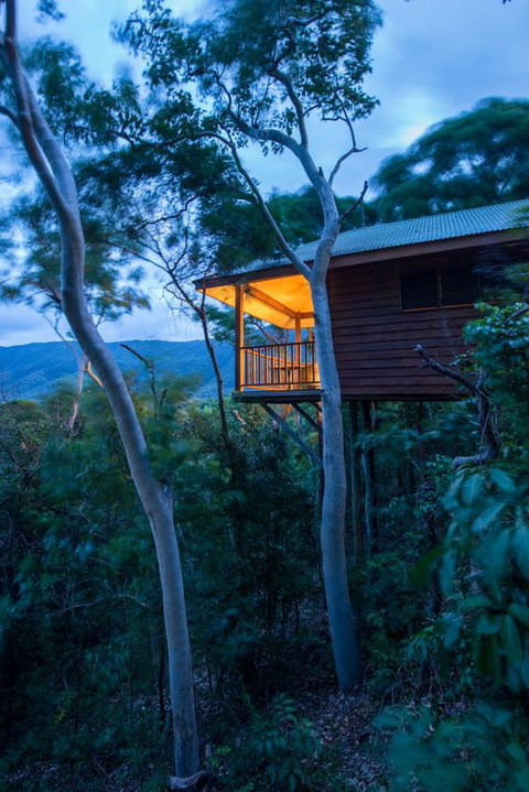 Thala Beach Nature Reserve - Accommodation Adelaide 19