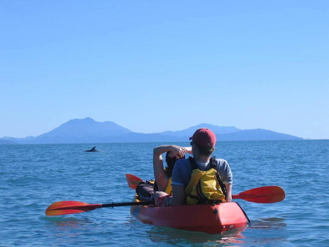 Thala Beach Nature Reserve - Accommodation Adelaide 44