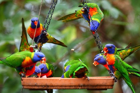 Thala Beach Nature Reserve - Accommodation Adelaide 43