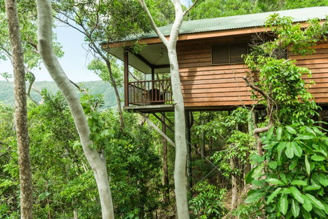 Thala Beach Nature Reserve - Accommodation Adelaide 17