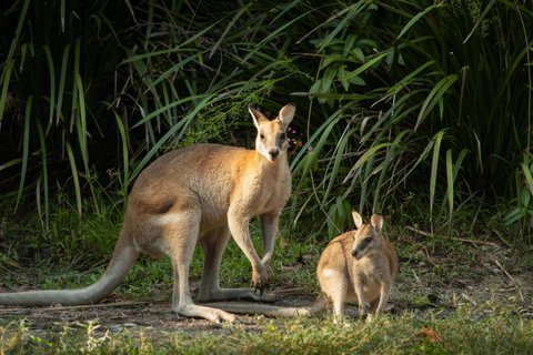 Thala Beach Nature Reserve - Accommodation Adelaide 2