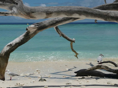 Beach Club Port Douglas Luxury Apartments - Accommodation Adelaide 23