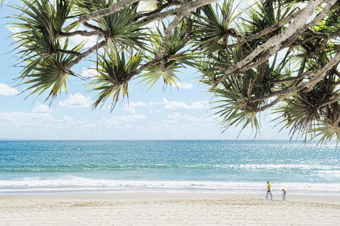 Netanya Noosa Beachfront Resort - Accommodation Adelaide 38