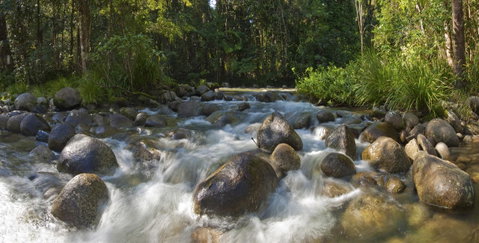 Silky Oaks Lodge - Accommodation Adelaide 20