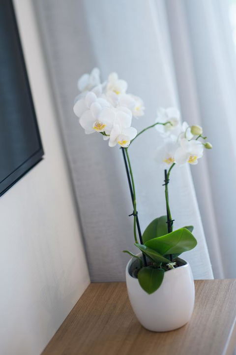 Heart Hotel And Gallery Whitsundays - Accommodation Adelaide 28
