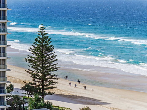 Sunbird Beach Resort Main Beach - Accommodation Adelaide 27