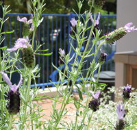 Surfers Beach Resort One - Accommodation Adelaide