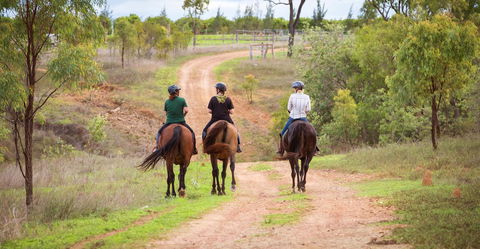 Ironbark House - Accommodation Adelaide 22