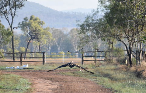 Ironbark House - Accommodation Adelaide 9