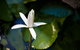 Freestyle Resort Port Douglas - thumb 12