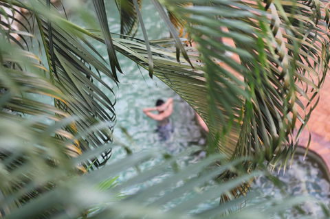 Coral Tree Inn - Accommodation Adelaide 36