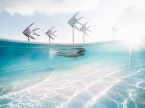 Coral Tree Inn - Accommodation Adelaide 39