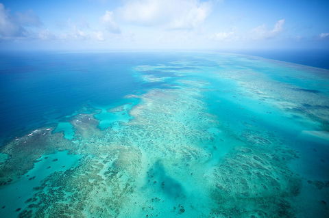 Coral Tree Inn - Accommodation Adelaide 37