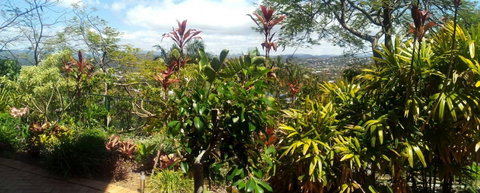 Private Guest Suite High On Currumbin Hill - Accommodation Adelaide 27