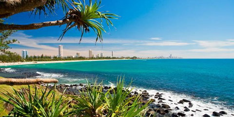 Private Guest Suite High On Currumbin Hill - Accommodation Adelaide 23