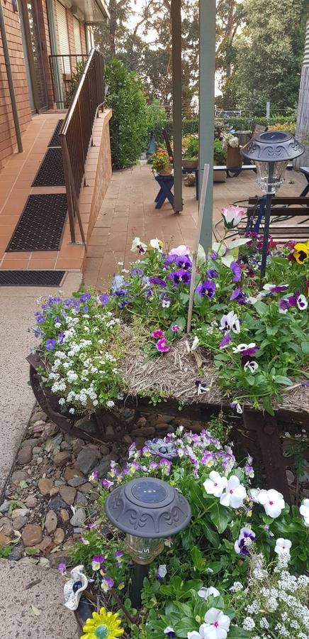 Manitzky Magic -B&B Home With Heart - Accommodation Adelaide 8