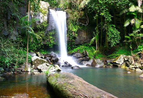 Curtis Falls Cottage - Accommodation Adelaide 22