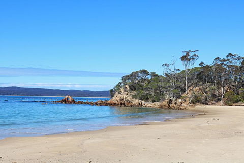 Whale Cove Circuit - Accommodation Adelaide 1