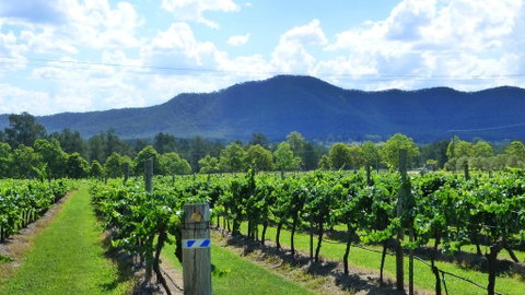 Winmark Wines - Accommodation Adelaide 1