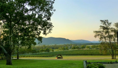 Winmark Wines - Accommodation Adelaide 0