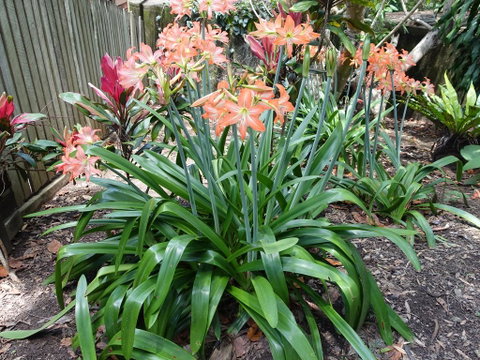 Winston Cottage - Accommodation Adelaide 2
