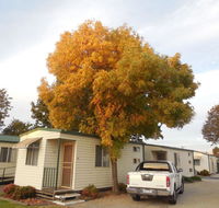 Wodonga Caravan  Cabin Park - Accommodation Adelaide