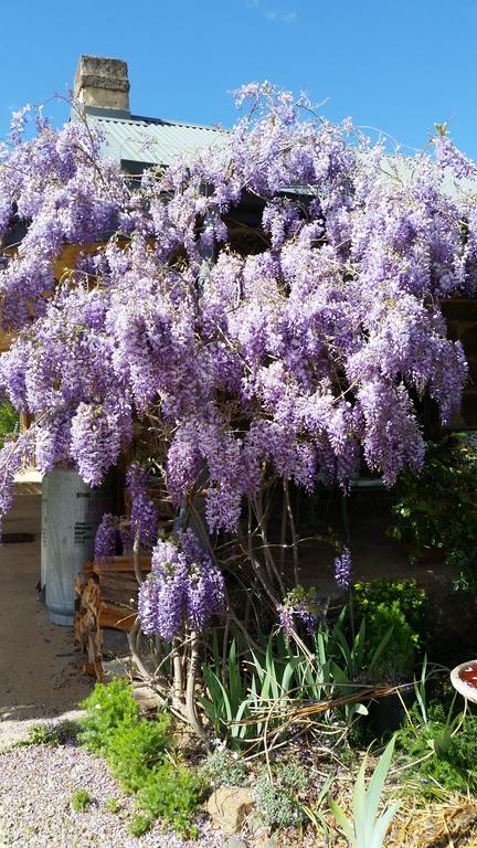 Woodvale At Cooma - Accommodation Adelaide 3