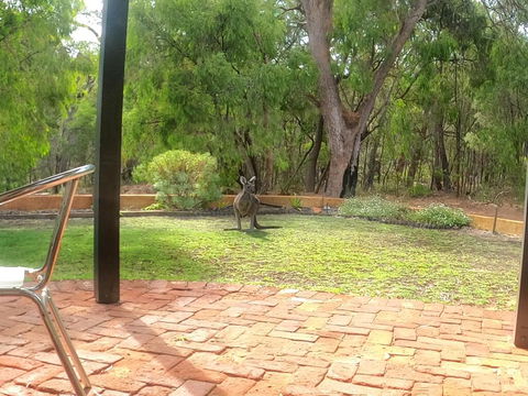 Yallingup Pet Friendly Bush Retreat - Accommodation Adelaide 3