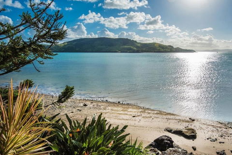 Yacht Club 19 Villa Bijou De Mer Ocean Front Private Pool 2 Buggies - Accommodation Adelaide 1