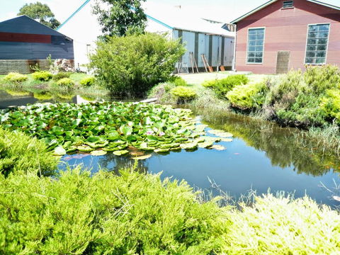 Yarragon Dairy Family Room - Accommodation Adelaide 1