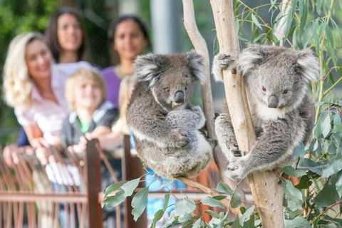 A 3BR Apt Next To Melbourne Zoo FREE Parking - Accommodation Adelaide 2