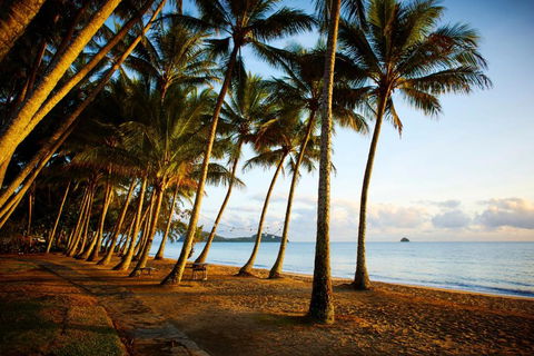 Alamanda Palm Cove By Lancemore - Accommodation Adelaide 3