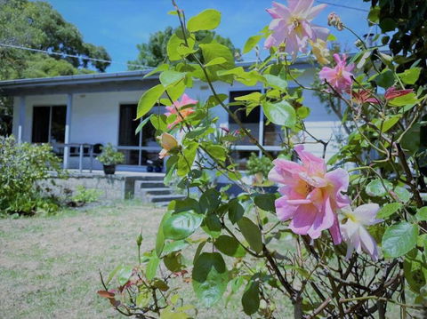 Apollo Bay Holiday House - Accommodation Adelaide 1
