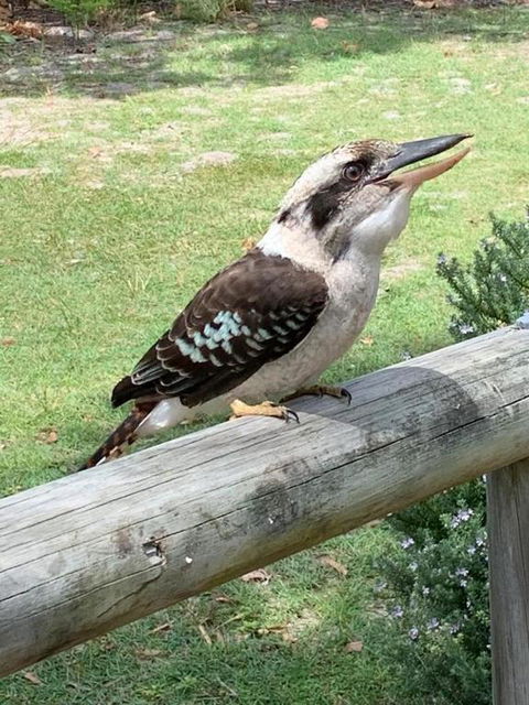 At Melaleuca 3 - Accommodation Adelaide 4