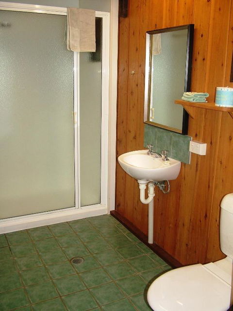 Atherton Blue Gum - Accommodation Adelaide 4