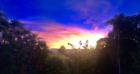 Daintree Manor B&B - Accommodation Adelaide 3