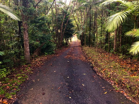Daintree Manor B&B - Accommodation Adelaide 12