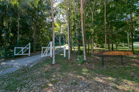 Daintree Manor B&B - Accommodation Adelaide 18