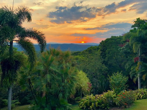 Daintree Manor B&B - Accommodation Adelaide 13