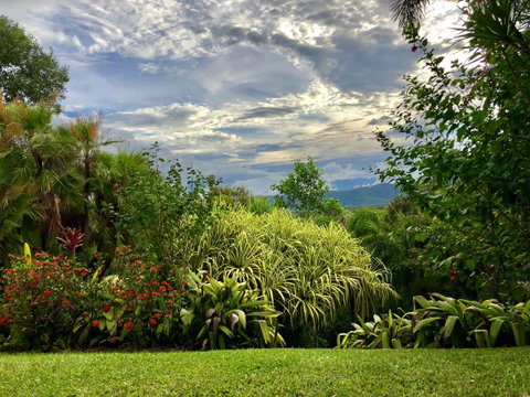 Daintree Manor B&B - Accommodation Adelaide 2