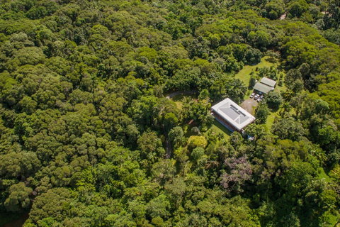 Daintree Manor B&B - Accommodation Adelaide 14