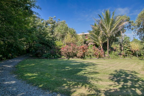 Daintree Manor B&B - Accommodation Adelaide 19