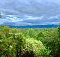 Daintree Manor BB - Accommodation Adelaide