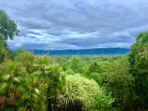 Daintree Manor B&B - Accommodation Adelaide 0
