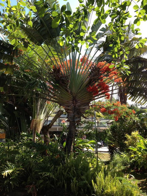 Port Douglas Apartments - Adults Only Oasis - Accommodation Adelaide 39