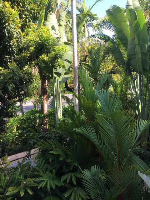 Port Douglas Apartments - Adults Only Oasis - Accommodation Adelaide 1