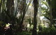 Port Douglas Apartments - Adults Only Oasis - thumb 40