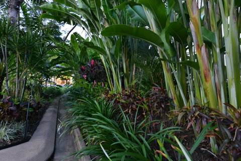 Port Douglas Apartments - Adults Only Oasis - Accommodation Adelaide 9